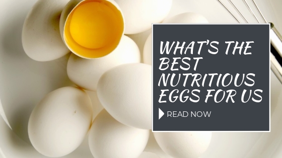 What’s the Best Nutritious Eggs For Us?